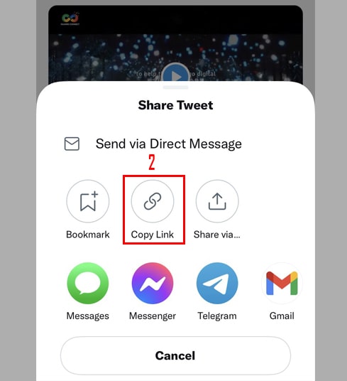 select the copy link option